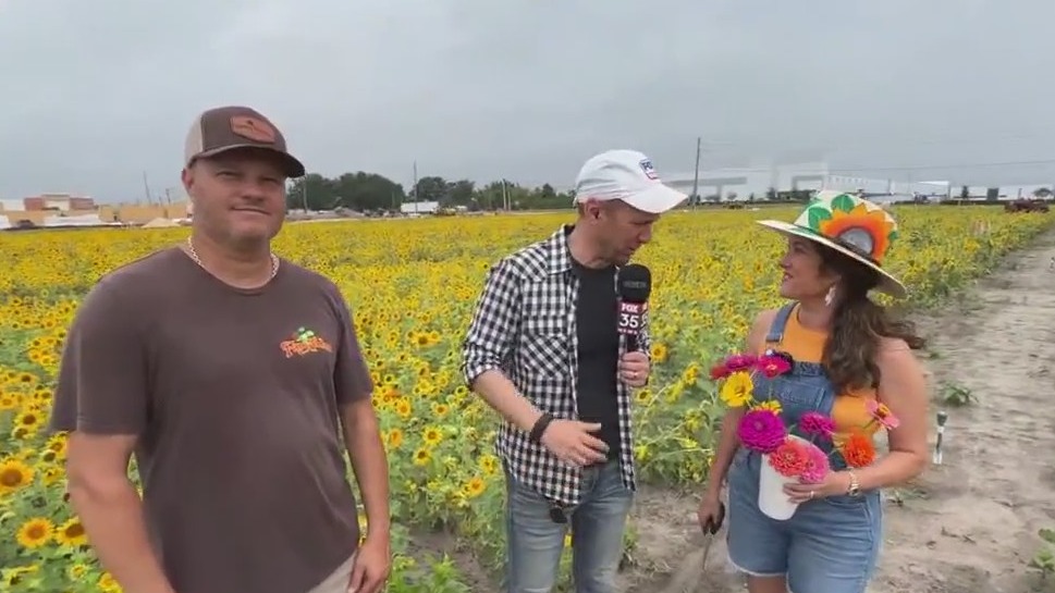 The fancy farm perfect for flower picking and photos in Plant City